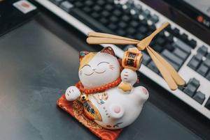 giấy phép New88